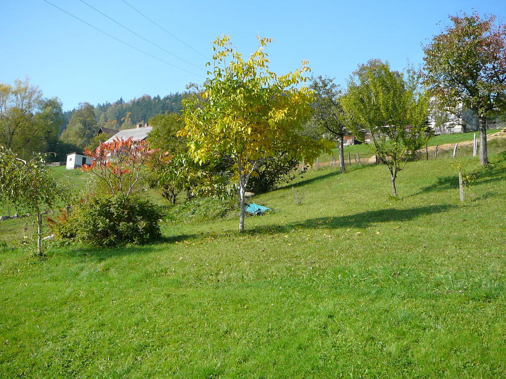 Apartmany Hlava Rokytnice nad Jizerou Exterior foto